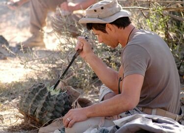 man-woman-wild-cactus.jpg